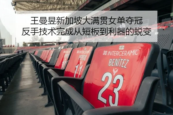 王曼昱新加坡大满贯女单夺冠 反手技术完成从短板到利器的蜕变